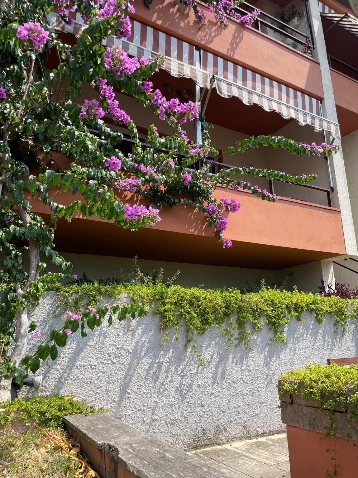 Residence Kormorano Malcesine Esterno foto